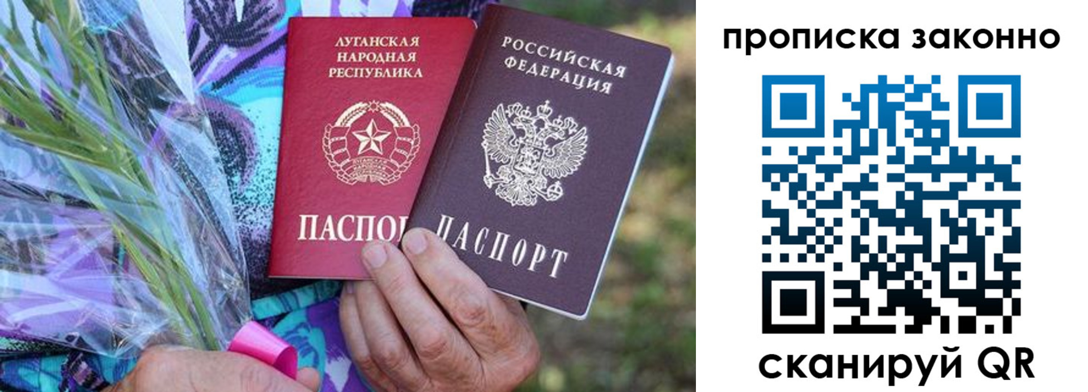 прописка для школы в Шилке